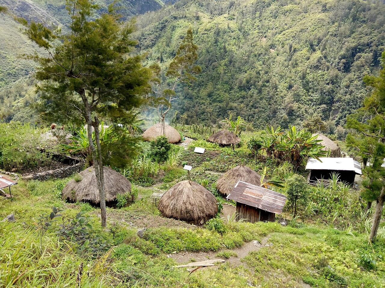Baliem Valley, Highland Papua