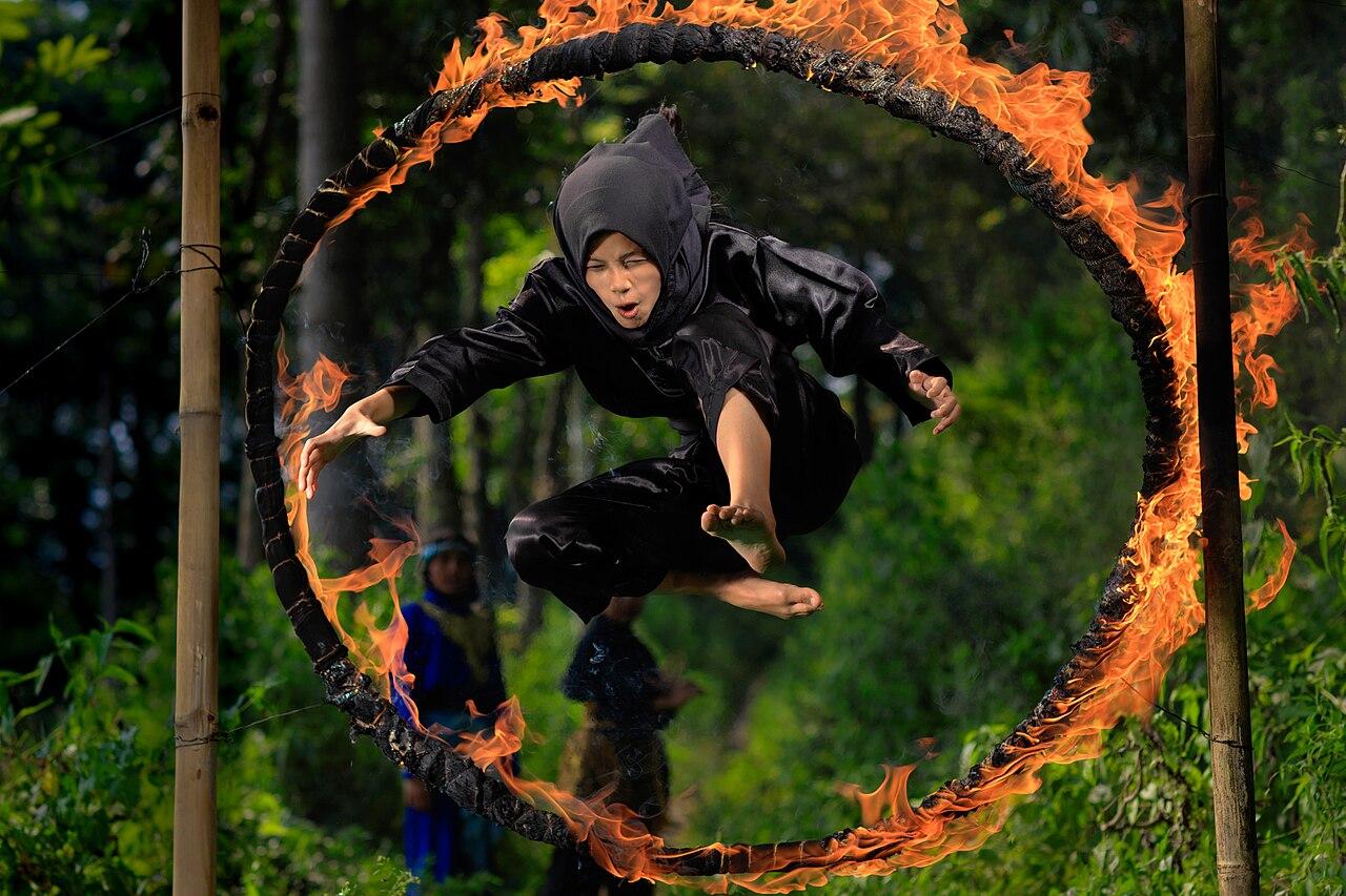 Pencak Silat, Across Indonesia